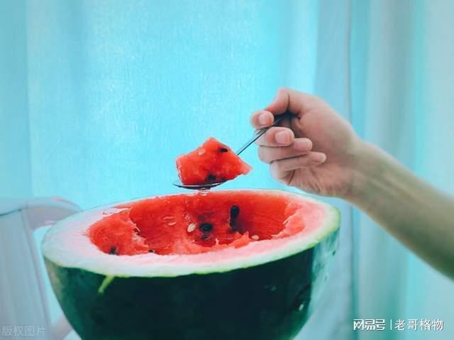 深圳附近吃瓜事件,一场网络热议背后的真相与反思