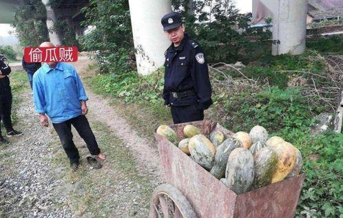 济南骑友吃瓜事件视频