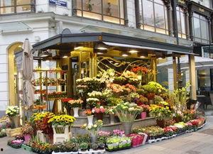 唐山花店吃瓜群众事件真相