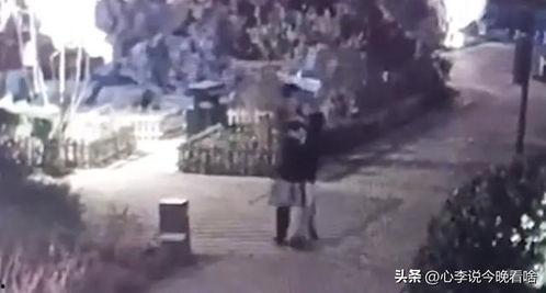 济南吃瓜事件视频最新消息,真相大白，各方反应汇总