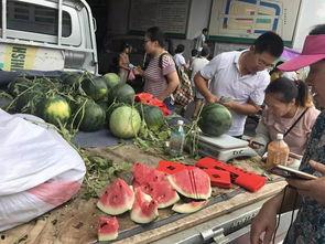 浙江义乌吃瓜事件视频,一场网络热议背后的真相揭秘