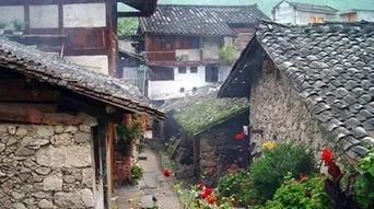 磨西古镇吃瓜事件真相是真的吗