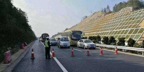 吃瓜事件酿事故