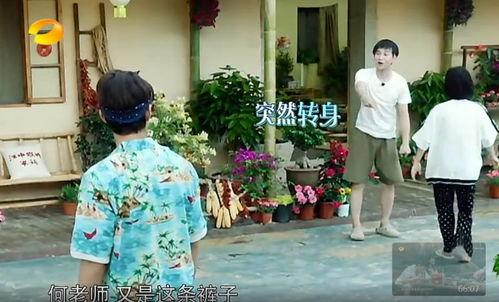 衡水吃瓜群众事件真相