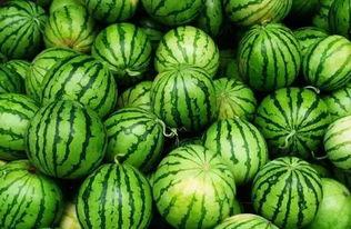 重庆吃瓜事件群,网络热议背后的真相与反思