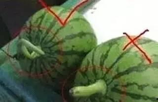 吃瓜最新事件发生在哪里,最新事件聚焦神秘地点揭秘！”