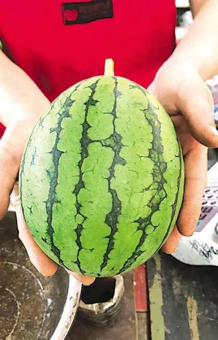 兴化最近吃瓜事件,揭秘背后真相与网络舆论风暴