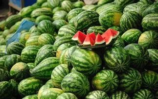 临沧网红吃瓜事件真相视频