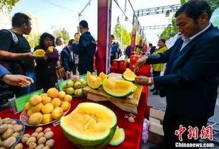 吃瓜最新事件爆料贵州,吃瓜群众揭秘神秘事件真相！