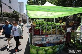 徐州吃瓜最新事件,揭秘背后真相与网络舆论风暴