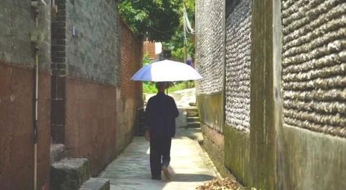 龙洞步行街吃瓜事件真相,揭秘背后真相与争议