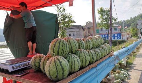 永安花园吃瓜事件真相
