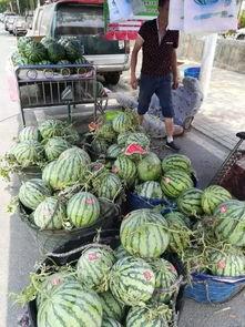 陆河吃瓜事件真相