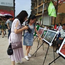 常德吃瓜群众事件,网络舆论的狂欢与反思
