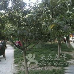 成都沙河公园吃瓜事件,一场引发热议的公共行为争议