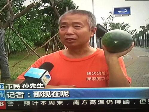 网络热门事件吃瓜吃人