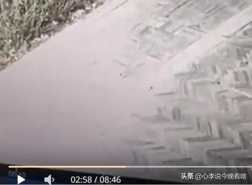 兰州吃瓜事件视频